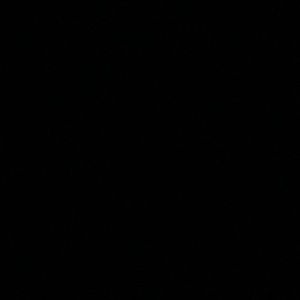 Meet your Posher, Arianna